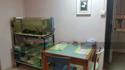 Blk 609 Bukit Panjang Ring Road (Bukit Panjang), HDB 4 Rooms #133493552